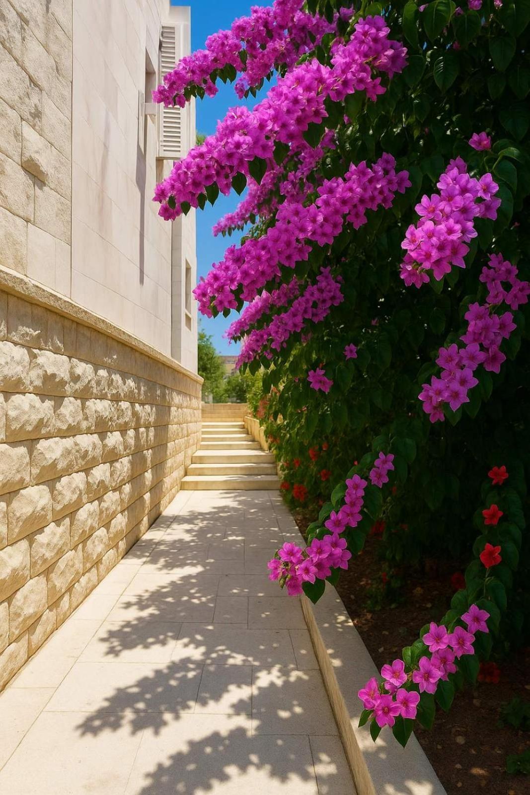 Apartments Villa Mirjana Budva Luaran gambar